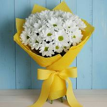 Букет цветов из:  Хризантемы в Гарь-Покровское