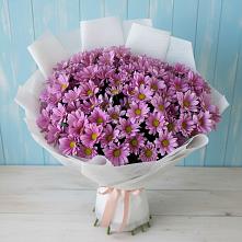 Букет цветов из:  Хризантемы в Гарь-Покровское