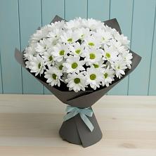 Букет цветов из:  Хризантемы в Гарь-Покровское