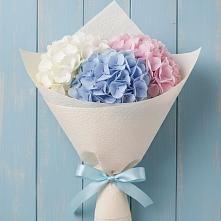 Букет цветов из:  Гортензия в Гарь-Покровское