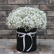 Цветочная композиция из Гипсофила в шляпной коробке #REPLACE_PRED# Гарь-Покровское