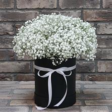 Цветочная композиция из Гипсофила в шляпной коробке в Гарь-Покровское