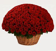 Премиум букет из: Розы в Гарь-Покровское